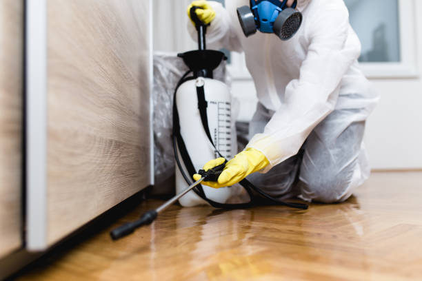 Best Pest Control Near Me  in Herlong, CA