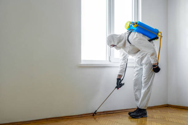 Best Wasp Removal Services  in Herlong, CA