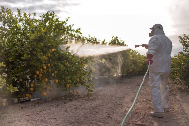 Best Spider Control Near Me  in Herlong, CA