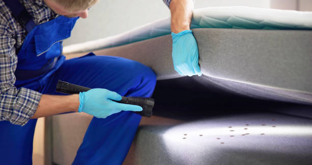 Best Rat Extermination Near Me  in Herlong, CA