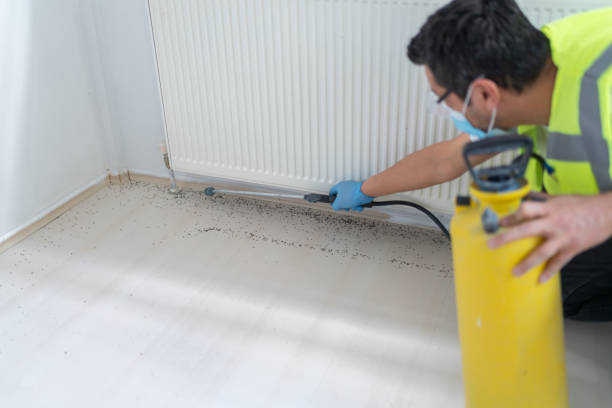 Best Flea Control Services  in Herlong, CA