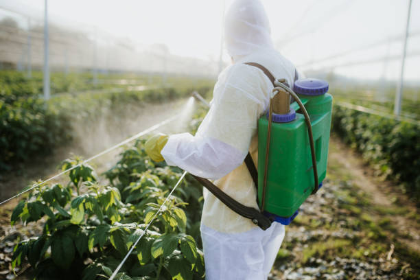 Best Pest Control Near Me  in Herlong, CA